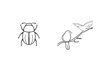 Simple black and white line art of beetle and birds on a white background