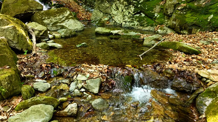 Valley for Summer Vacation ,Slow Motion ,Clear Stream flowing over rocks and rocks ,Rich Valley in slow motion ,Crystal clear water spills over rocks ,Silent natural scene