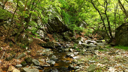 Valley for Summer Vacation ,Slow Motion ,Clear Stream flowing over rocks and rocks ,Rich Valley in slow motion ,Crystal clear water spills over rocks ,Silent natural scene