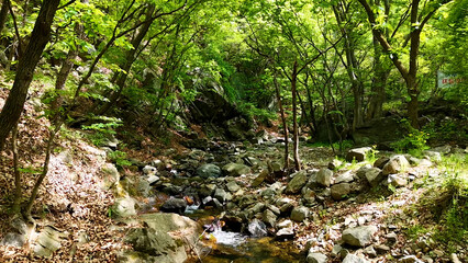 Fototapeta premium Valley for Summer Vacation ,Slow Motion ,Clear Stream flowing over rocks and rocks ,Rich Valley in slow motion ,Crystal clear water spills over rocks ,Silent natural scene
