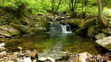 Valley for Summer Vacation ,Slow Motion ,Clear Stream flowing over rocks and rocks ,Rich Valley in slow motion ,Crystal clear water spills over rocks ,Silent natural scene