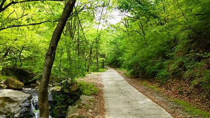 Valley for Summer Vacation ,Slow Motion ,Clear Stream flowing over rocks and rocks ,Rich Valley in slow motion ,Crystal clear water spills over rocks ,Silent natural scene