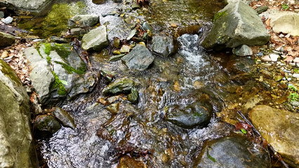 Valley for Summer Vacation ,Slow Motion ,Clear Stream flowing over rocks and rocks ,Rich Valley in slow motion ,Crystal clear water spills over rocks ,Silent natural scene