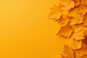 Fototapeta premium Autumn leaves on bright background