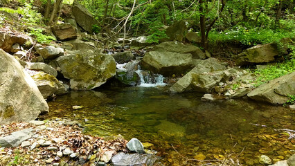 Valley for Summer Vacation ,Slow Motion ,Clear Stream flowing over rocks and rocks ,Rich Valley in...