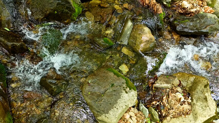 Valley for Summer Vacation ,Slow Motion ,Clear Stream flowing over rocks and rocks ,Rich Valley in slow motion ,Crystal clear water spills over rocks ,Silent natural scene