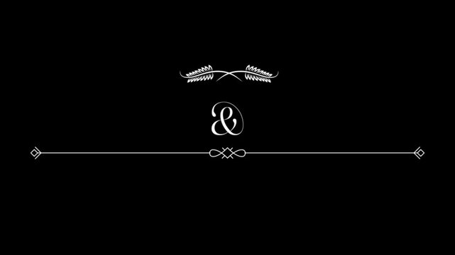 Animation wedding card border white lines on black background.