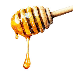 Golden Honey Dripping From Wooden Honey Dipper Watercolor Illustration