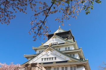 Naklejka premium Osaka, Japan - April 14, 2024: Osaka Castle, a famous Japanese landmark, surrounded by pink sakura trees under a blue sky.