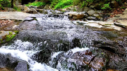 Fototapeta premium Valley for Summer Vacation ,Slow Motion ,Clear Stream flowing over rocks and rocks ,Rich Valley in slow motion ,Crystal clear water spills over rocks ,Silent natural scene ,Silent flowing riverbed