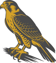 Falcon