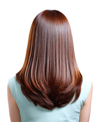 Woman's Long Brown Hair Style Healthy Shiny Straight Locks from Behind