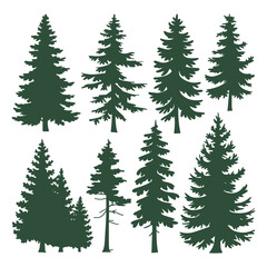 Pine tree silhouettes. Evergreen forest firs and spruces black shapes, wild nature trees templates.