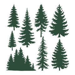 Pine tree silhouettes. Evergreen forest firs and spruces black shapes, wild nature trees templates.