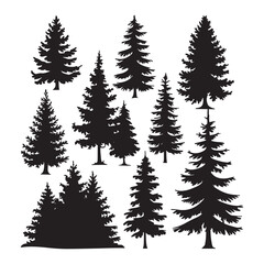 Obraz premium Pine tree silhouettes. Evergreen forest firs and spruces black shapes, wild nature trees templates.