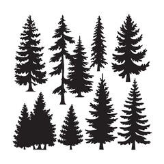 Pine tree silhouettes. Evergreen forest firs and spruces black shapes, wild nature trees templates.