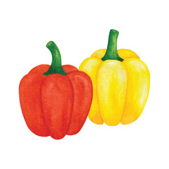 Watercolor illustration of red and yellow bell peppers. Perfect for food packaging, label, banner, menu design, recipes, healthy product labels, and kitchen-themed prints.