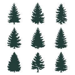 Obraz premium Pine tree silhouettes. Evergreen forest firs and spruces black shapes, wild nature trees templates.