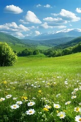 Scenic Meadow Landscape with Daisies and Distant Mountains on a Sunny Day Vertical View