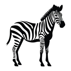 Fototapeta premium Zebra silhouette clipart on a white background