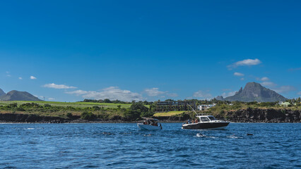Tourist motorboats in the blue ocean. People swim next to dolphins and snorkel. Backs, dorsal fins of marine mammals above water. Green vegetation. Mountains against the azure sky, clouds. Mauritius