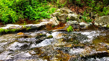 Fototapeta premium Slow Motion Drone Footage of Crystal-Clear Stream Flow in a Serene Forest Valley, Featuring Gentle Ripples, Tranquil Water Sounds, and the Pristine Beauty of Nature