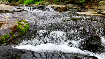 Obraz premium Slow Motion Drone Footage of Crystal-Clear Stream Flow in a Serene Forest Valley, Featuring Gentle Ripples, Tranquil Water Sounds, and the Pristine Beauty of Nature