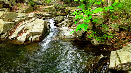 Slow Motion Drone Footage of Crystal-Clear Stream Flow in a Serene Forest Valley, Featuring Gentle Ripples, Tranquil Water Sounds, and the Pristine Beauty of Nature