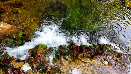 Slow Motion Drone Footage of Crystal-Clear Stream Flow in a Serene Forest Valley, Featuring Gentle Ripples, Tranquil Water Sounds, and the Pristine Beauty of Nature