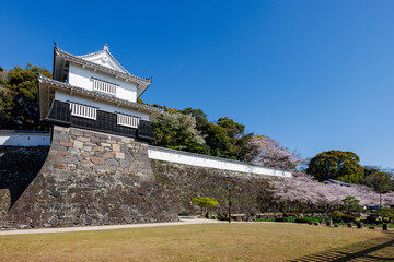 玖島城址と桜

