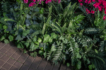 Brick Path with Green Foliage