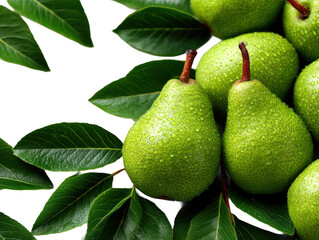 Harvesting fresh green pears orchard food photography nature close-up. Isolated on transparent background, png.