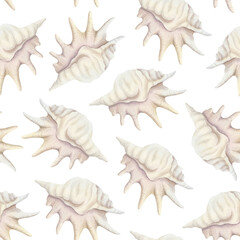 Pastel beige seashell seamless pattern with watercolor sea snail shells on white. Hand drawn realistic ocean mollusk repeat background for coastal designs. Coral reef animal tropical clip art
