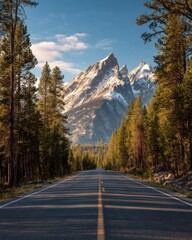 Fototapeta premium Scenic Road Leading to Grand Teton Mountains in Wyoming USA Framed by Pine Trees at Golden Hour Low Angle