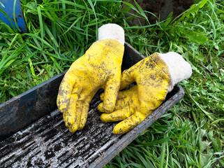 rubber gloves on the grass. yellow gloves for gardening. 