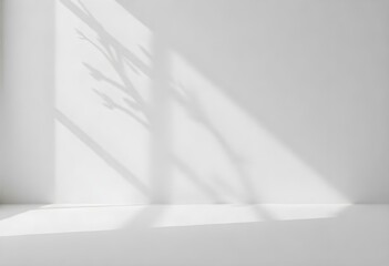 A white wall with a shadow of a tree branch , the background is a white wall and a white floor .