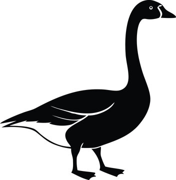 goose isolated on white background, goose isolated on white, vector illustration of a goose