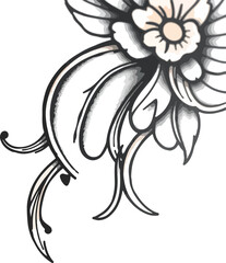 white flower isolated on black