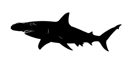 Obraz premium Hammerhead Shark Silhouette
