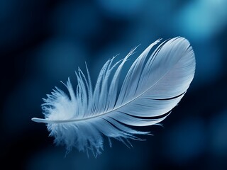 Obraz premium Single White Feather Floating on a Deep Blue Background