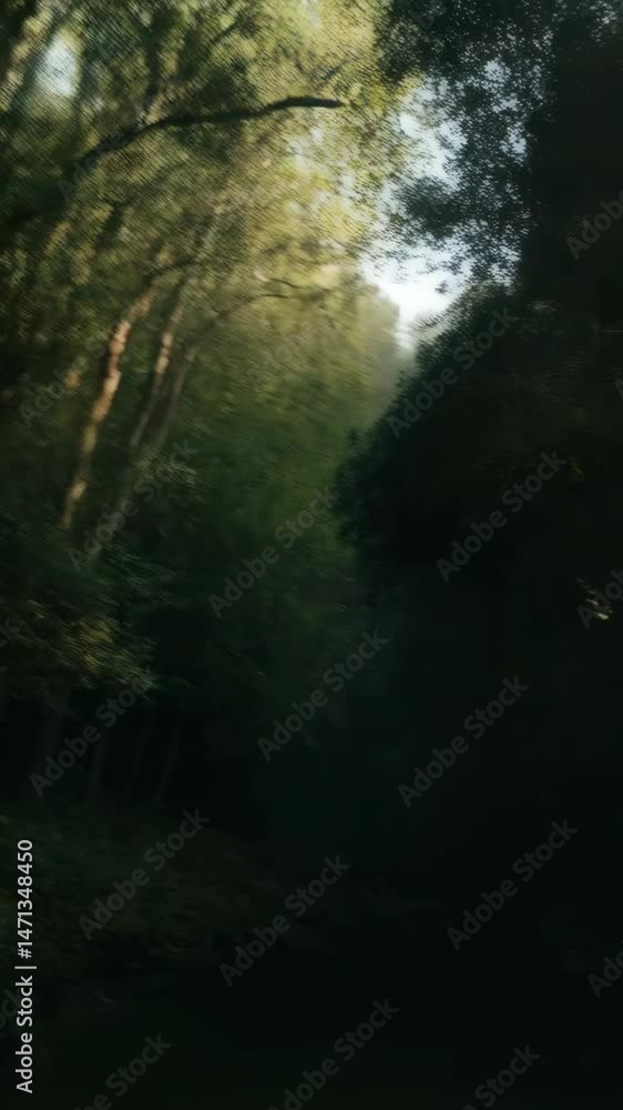 Poster sunlight streams through dense trees onto a calm river reflecting foliage, creating a mystical and e