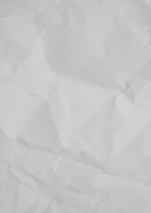 A vector graphic design of a paper crease captures the delicate, realistic appearance of folded paper with precision and clarity. 