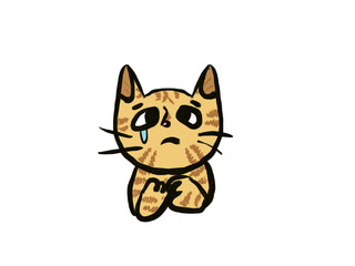 Ok Orange Cat
