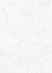 A vector graphic design of a paper crease captures the delicate, realistic appearance of folded paper with precision and clarity. 