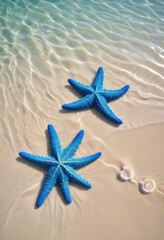 Two vibrant blue starfish on a sandy beach, shallow clear water