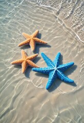 Three starfish, orange and blue, on a sandy beach, shallow water