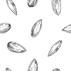 Seamless vector pattern with hand drawn ink minlala nuts. Template for food, drink label design.