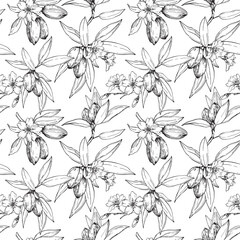 Fototapeta premium Almond vector seamless pattern hand drawn with ink. Black and white nuts, flowers, branches and leaves. Template for food and drink label design and textile decoration