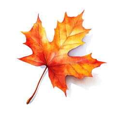 Vibrant Autumn Leaf (4)