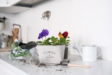 Experience the beauty of indoor gardening with vibrant colorful flowers and essential planting tools
